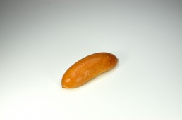 Brioche Hot Dog 40gr